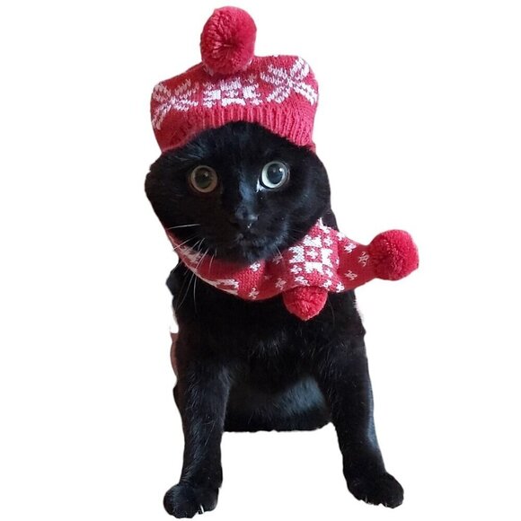 Cat Christmas Snowflake Scarf & Hat Set Costume for Small Pets Puppy, Red Small - Picture 2 of 9